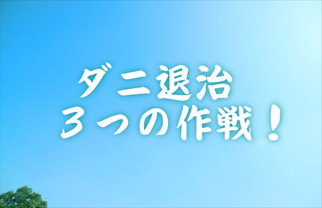 ダニ退治3つの作戦