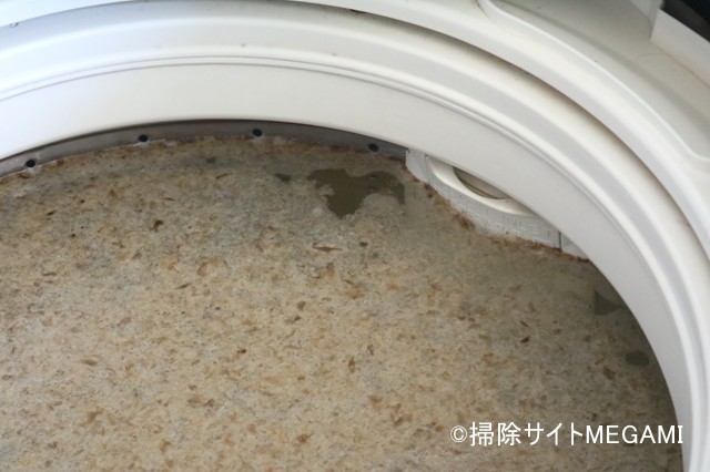茶色いカスがいっぱい浮いている洗濯槽