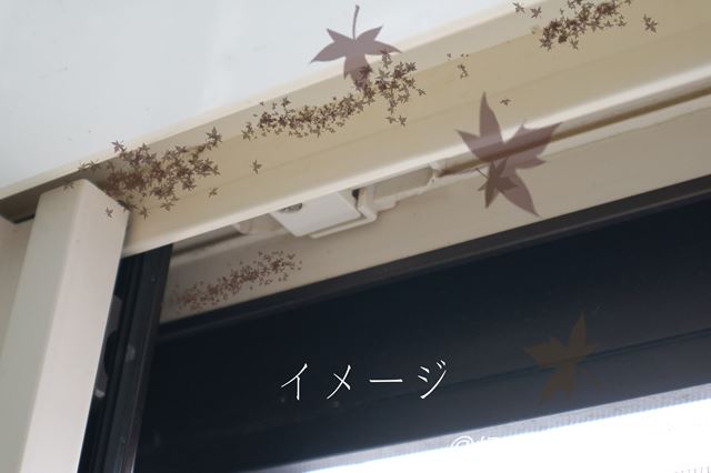 お風呂の窓についたカビを取る