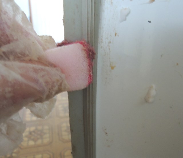 スポンジでこする