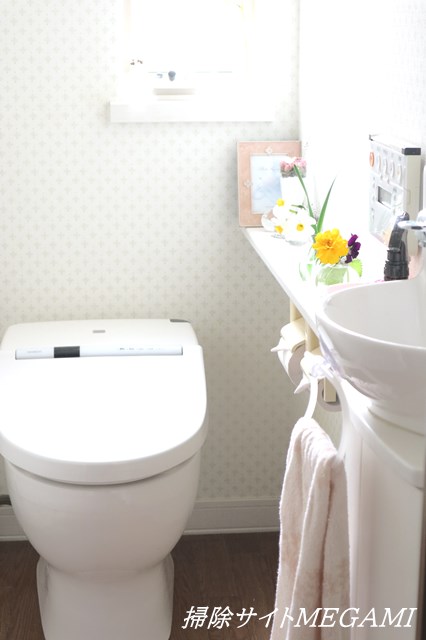 清々しいトイレ空間の写真