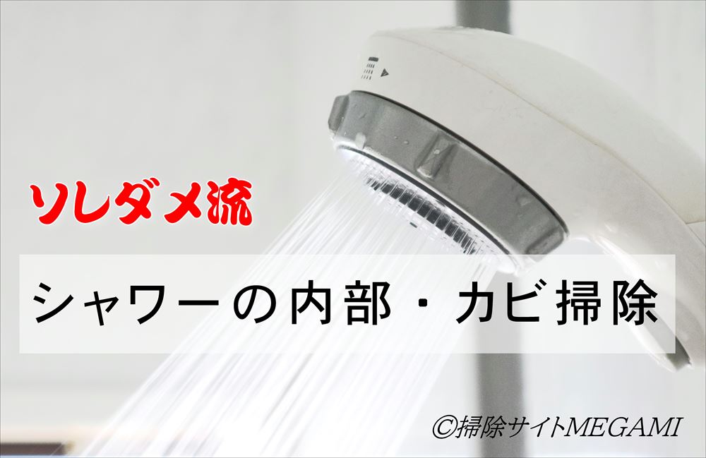 【驚愕】シャワーヘッドはカビだらけ!?ソレダメ掃除法で菌を撃退!