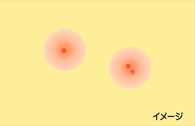 ダニに刺された跡の様子