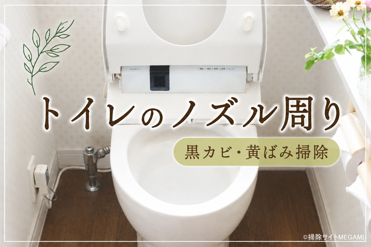 トイレのノズル周り・収納口の掃除方法|黒カビ・黄ばみの落とし方