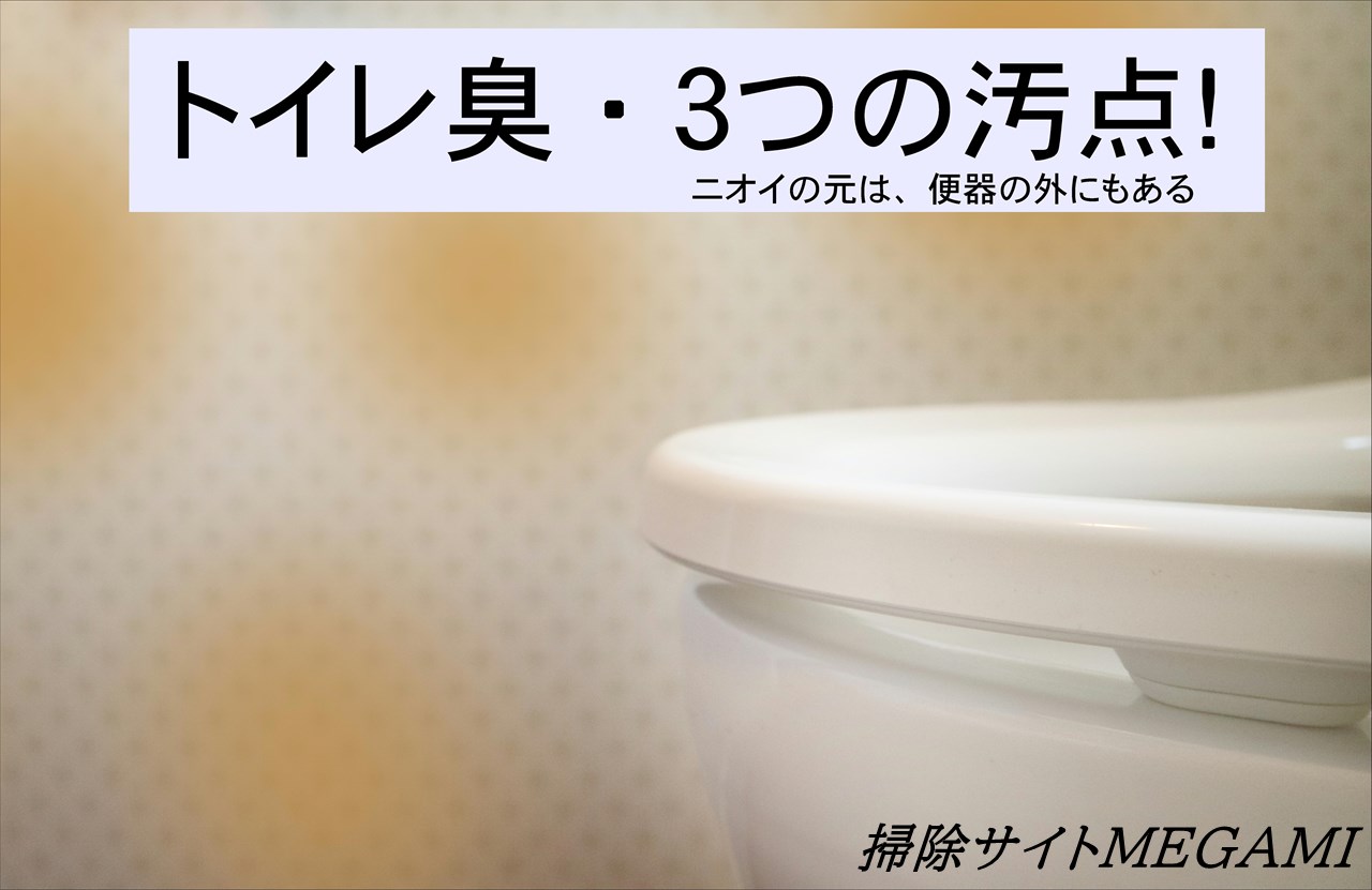 【トイレ】掃除をしても臭いのはなぜ?見落としがちな「3つの汚点」と掃除の仕方!