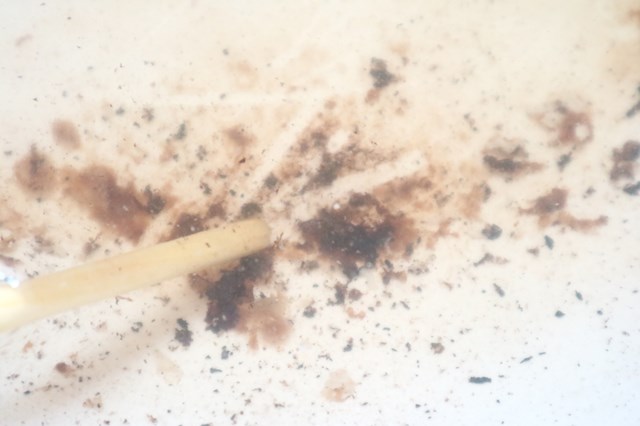 割りばしで焦げを落とす