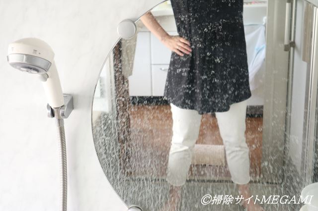 ウロコがついた鏡